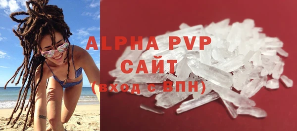 сатива Бородино