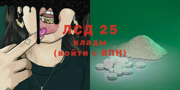 сатива Бородино