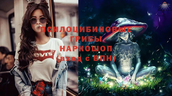 сатива Бородино