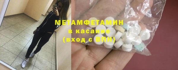 сатива Бородино