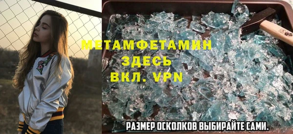 сатива Бородино