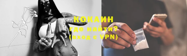 сатива Бородино