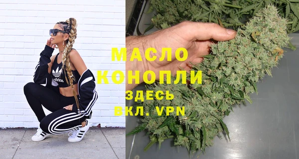 сатива Бородино