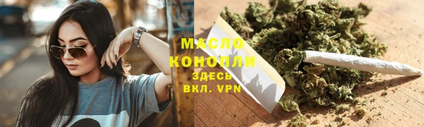 сатива Бородино